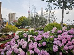 -北外滩滨江绿地