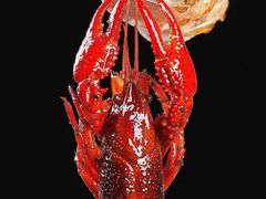 -红胖胖龙虾王·本地菜