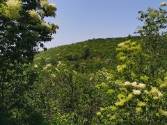 -妙峰山风景名胜区