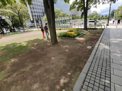 -大通公园