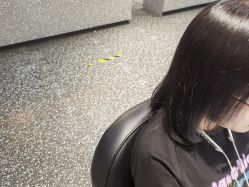 -丝语萱形象