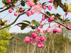 -狼山风景名胜区