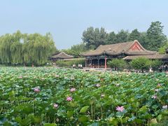 -宫事颐庭·老佛爷贵寿下午茶(颐和园店)