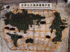 -青岛葡萄酒博物馆