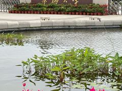 -华侨大学(厦门校区)