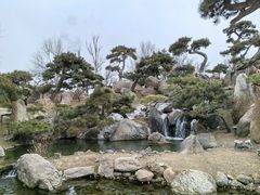 -罗红摄影艺术馆