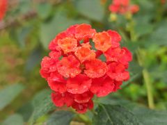 -共青国家森林公园-售票处