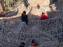 -呀路古热带植物园