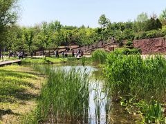 -江苏三台山国家森林公园