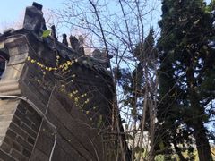 -青岛崂山太清宫