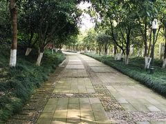 -杭州少年儿童公园