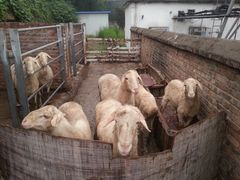 -意大利农场度假村