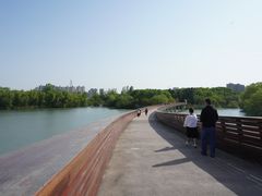 -昆山城市生态森林公园