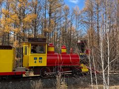 -莫尔道嘎国家森林公园