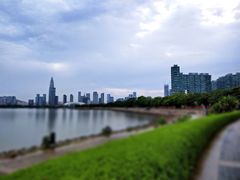 -深圳湾公园(南山区)