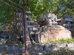 -尚庄度假村·庭台树下·户外烧烤·团建CS·轰趴营地(上庄水库店)