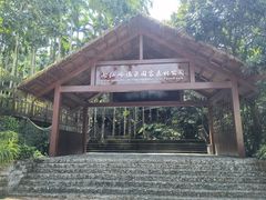 -七仙岭温泉国家森林公园