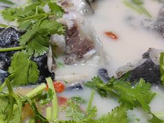 -全乐鱼馆·淳牌有机鱼直营店