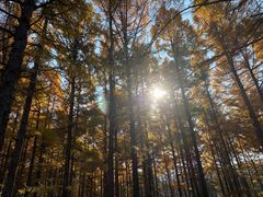 -长春市南湖公园