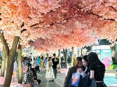 -东莞松山湖万象汇