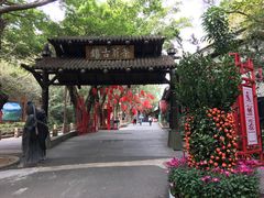 -东部华侨城