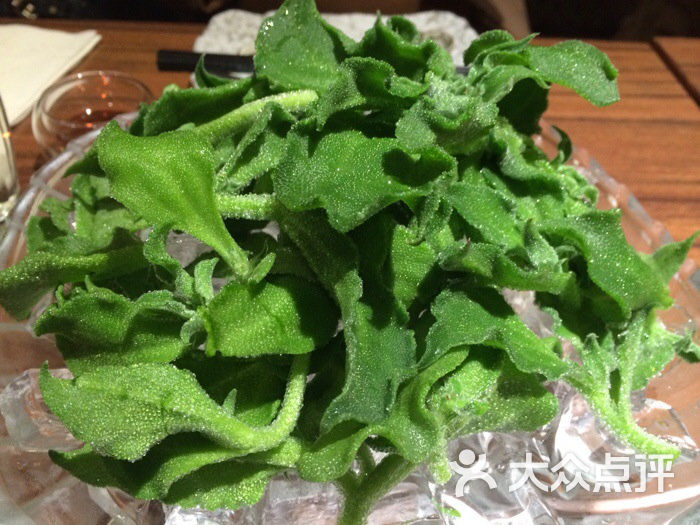 雪花菜                 helen娃娃