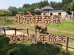 -宋家庄(地铁站)