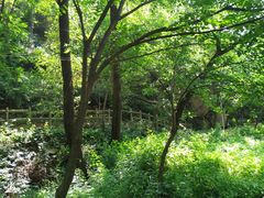 -大岭沟猕猴桃谷风景区