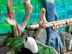 -灵玲国际马戏城