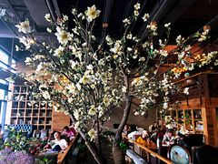 -山有花啡餐厅(常营总店)