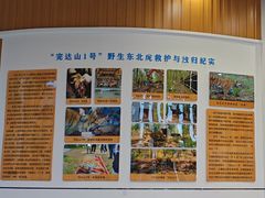 -横道河子东北虎林园