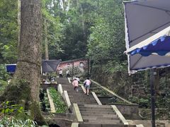 -都江堰普照寺