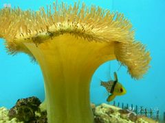 android_upload_pic-北戴河圣蓝海洋公园