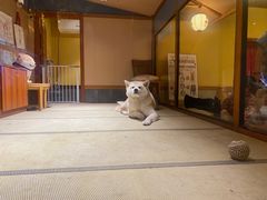 -大江户·温泉洗浴(浑南店)