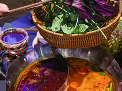 -由衷贵州酸汤牛肉火锅(新桥店)