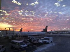 -约翰·菲茨杰拉德·肯尼迪国际机场