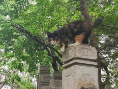 -云龙山