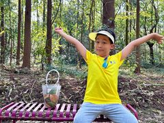 -上海海湾国家森林公园