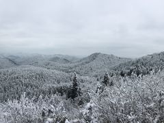 -武陵山森林公园