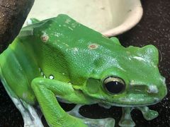 -上海大自然野生昆虫馆