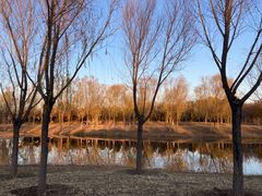 -东郊湿地公园