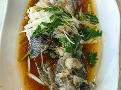 石斑鱼活捞清蒸-巧克力渔家.小船海鲜胶东菜(万平口店)