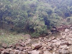 -广州白江湖森林公园