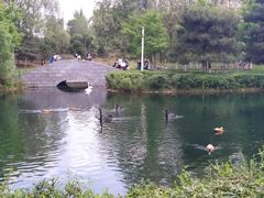 -长白岛森林公园