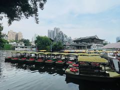-荔湾湖公园