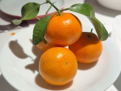 -许家菜(DT51店)