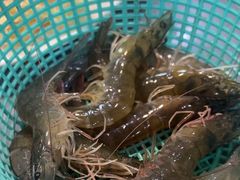-濠轩阁特色生蚝火锅(水湾路店)