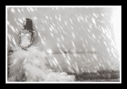 G97A5020-费拉摄影(天廊T66店)