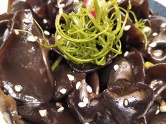凉拌黑木耳-天瑞轩·粤菜餐厅