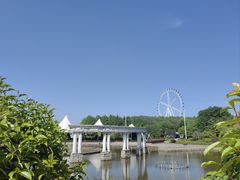 -宜兴龙背山森林公园